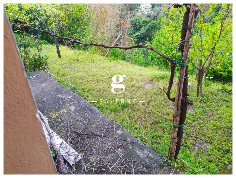 Palazzina - Image 24