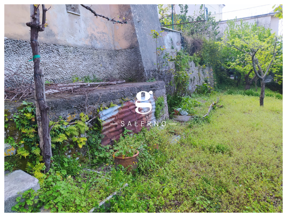 Palazzina - Image 25