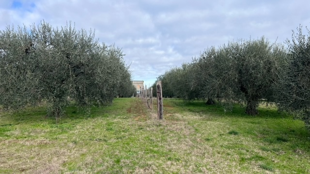 Casa Indipendente - Image 9