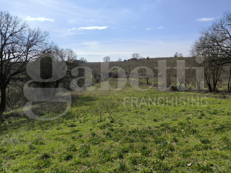 Casa Indipendente - Image 3