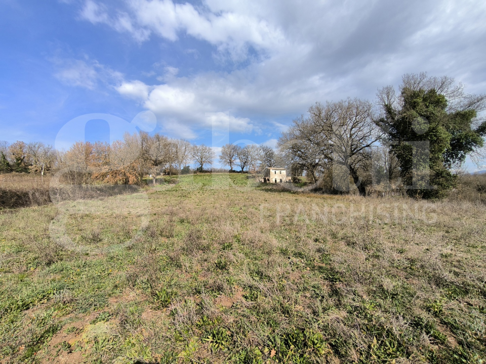 Casa Indipendente - Image 14