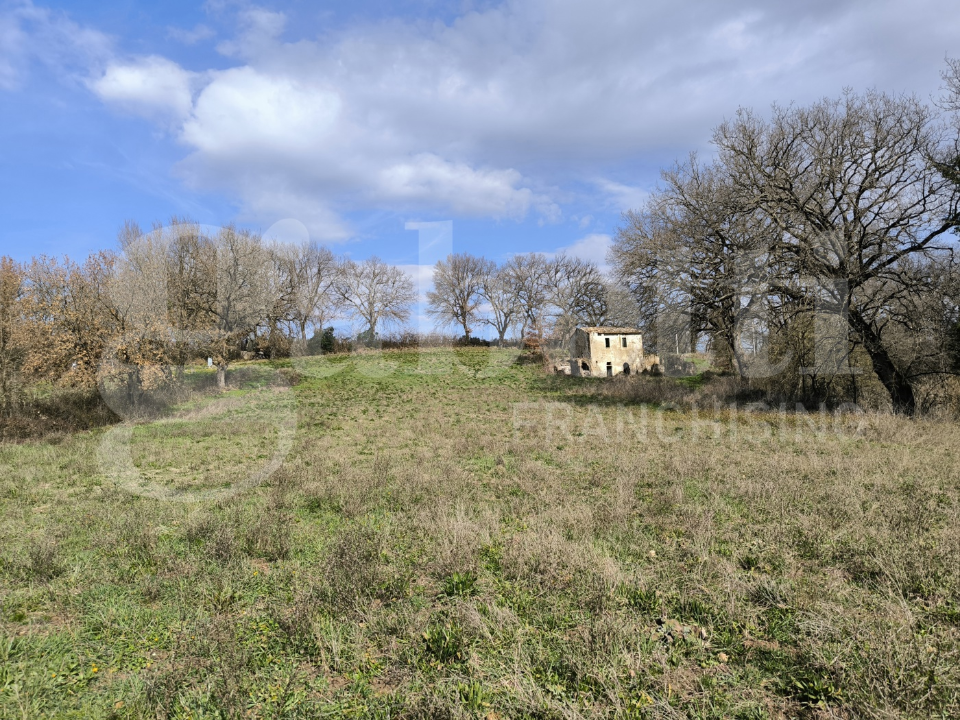 Casa Indipendente - Image 1