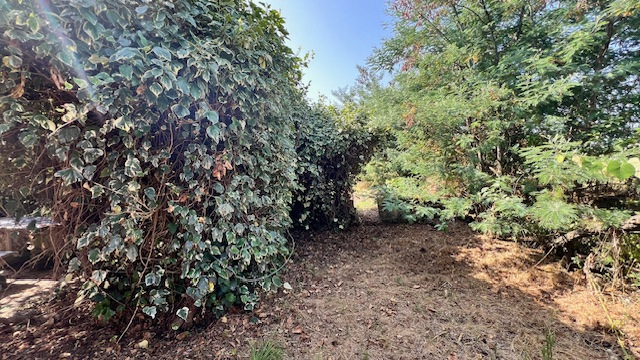 Casa Indipendente - Image 20