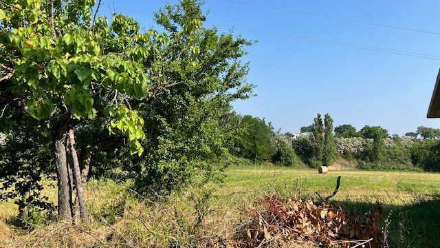 Casa Indipendente - Image 10