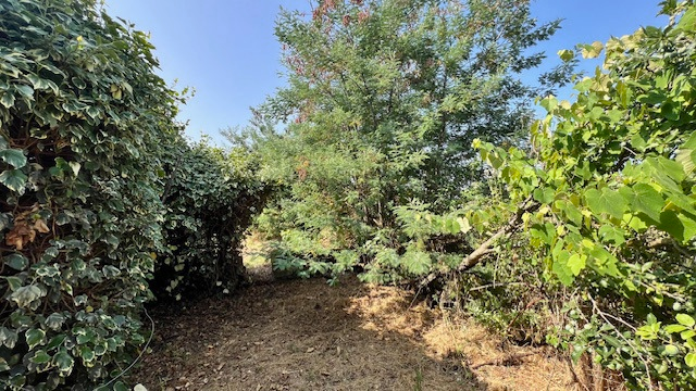 Casa Indipendente - Image 21