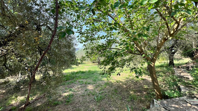 Casa Indipendente - Image 16