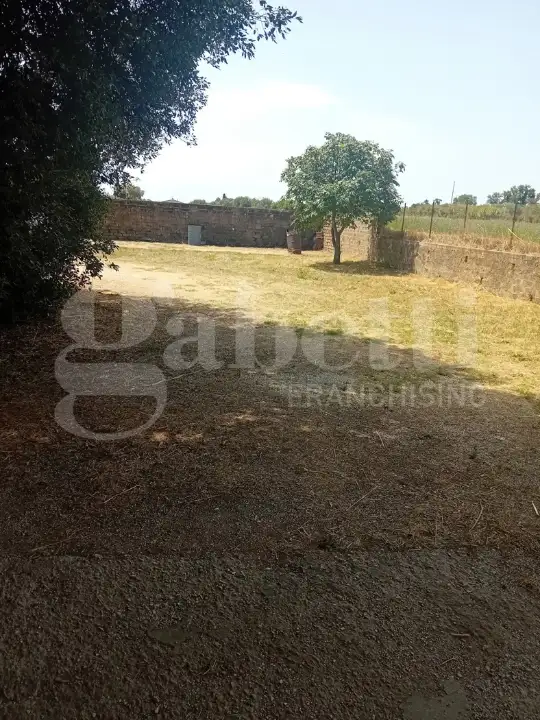 Laboratorio - Image 8