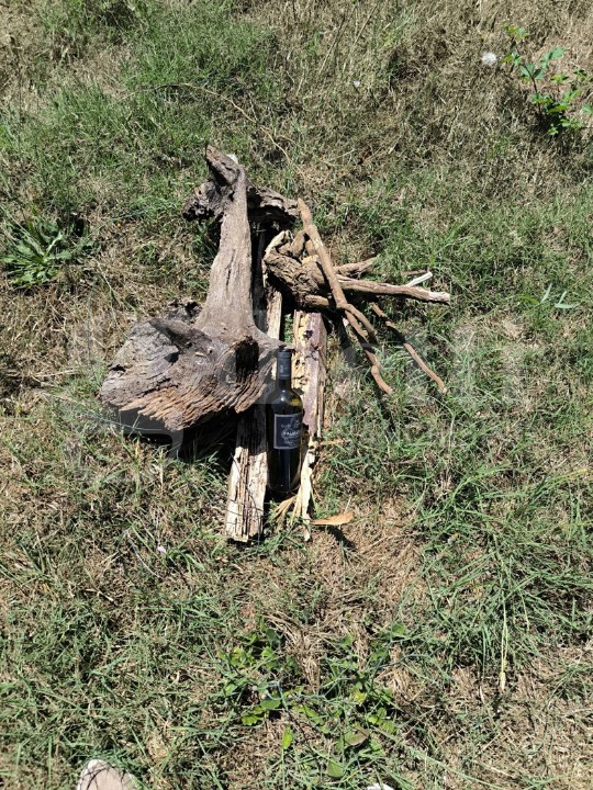 Appartamento - Image 17