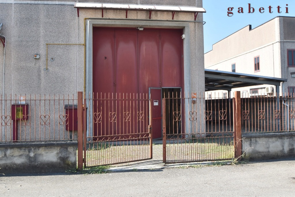 Capannone - Image 3