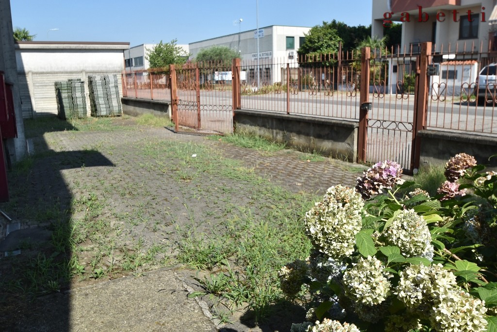 Capannone - Image 4