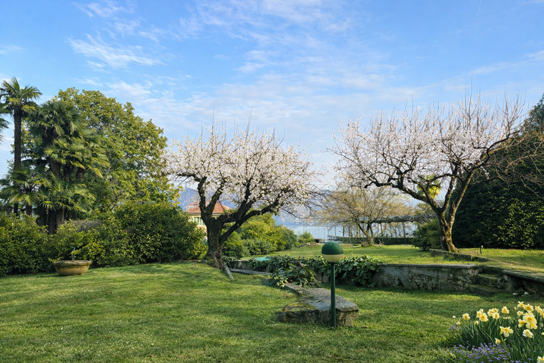 Appartamento - Image 10