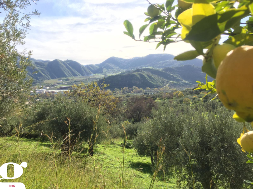 Casa Indipendente - Image 11