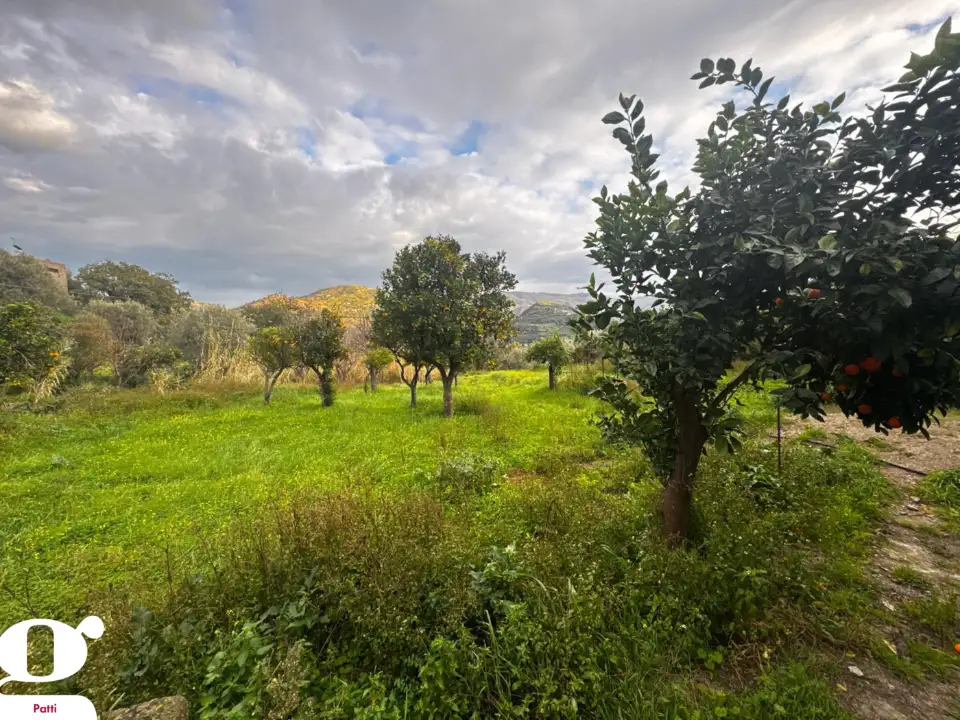 Casa Indipendente - Image 3