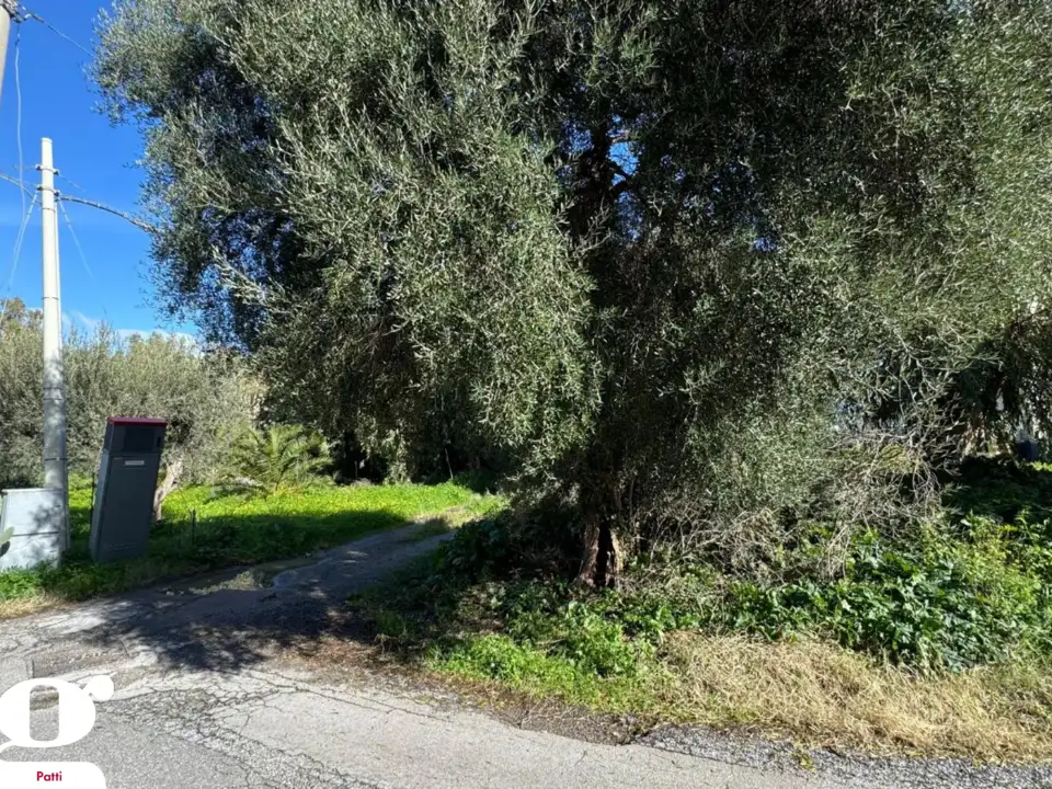 Casa Indipendente - Image 3