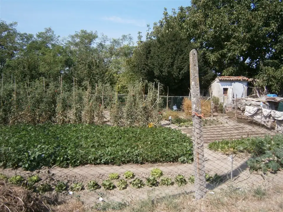 Casa Indipendente - Image 2