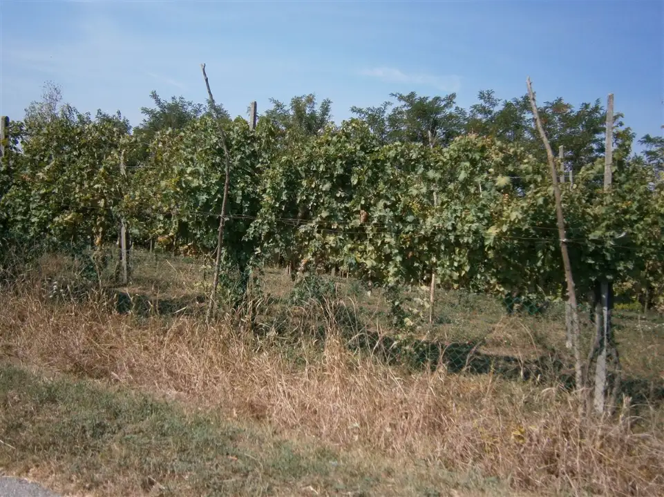 Casa Indipendente - Image 6