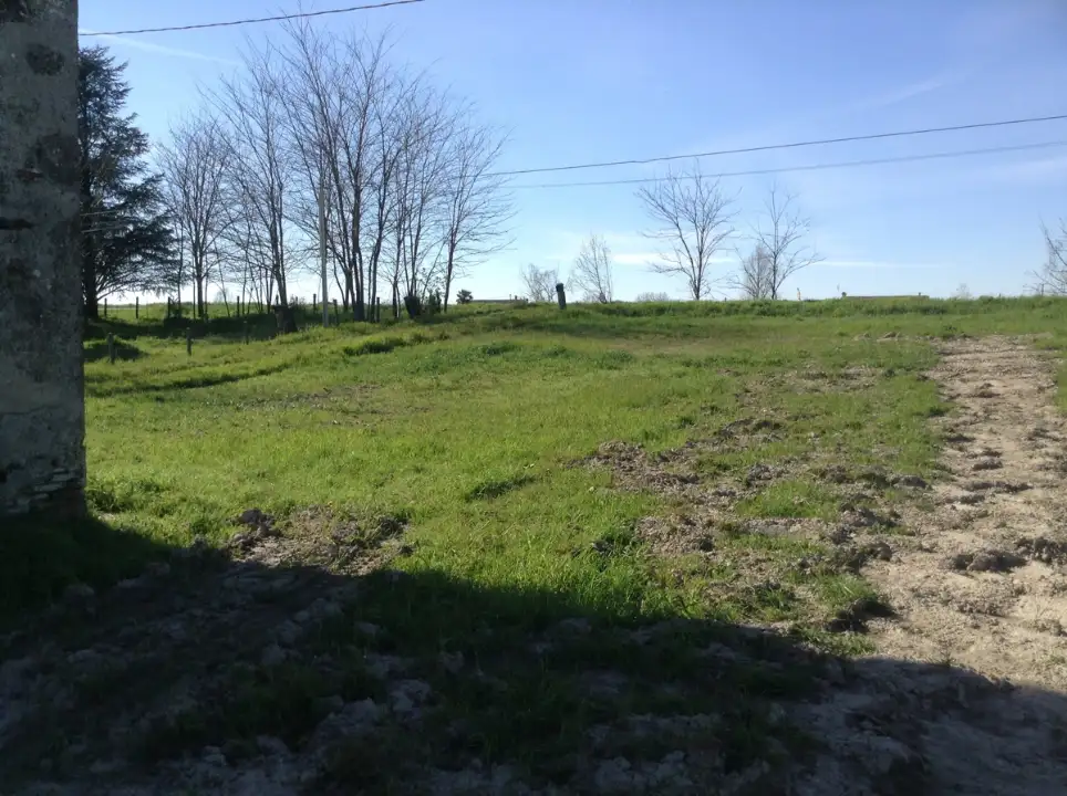 Casa Indipendente - Image 6