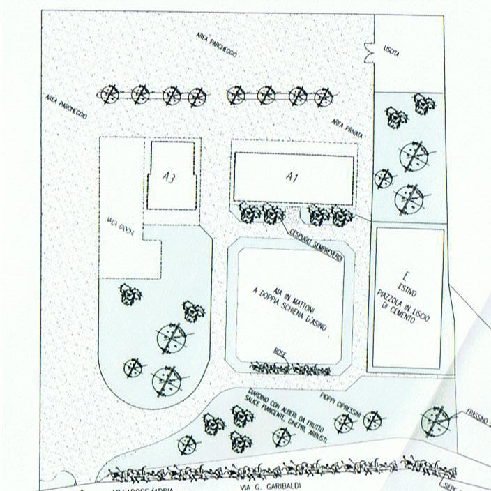 Attività - Planimetry 1