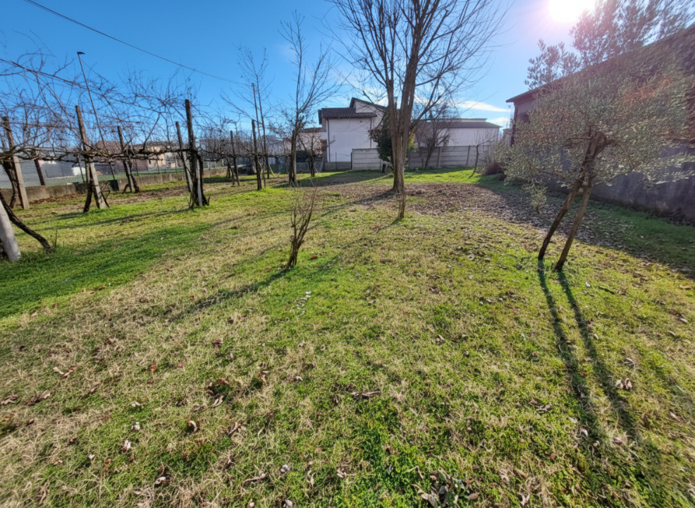 Complesso - Image 22