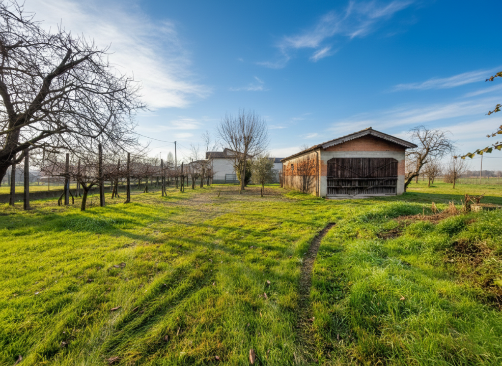 Complesso - Image 25