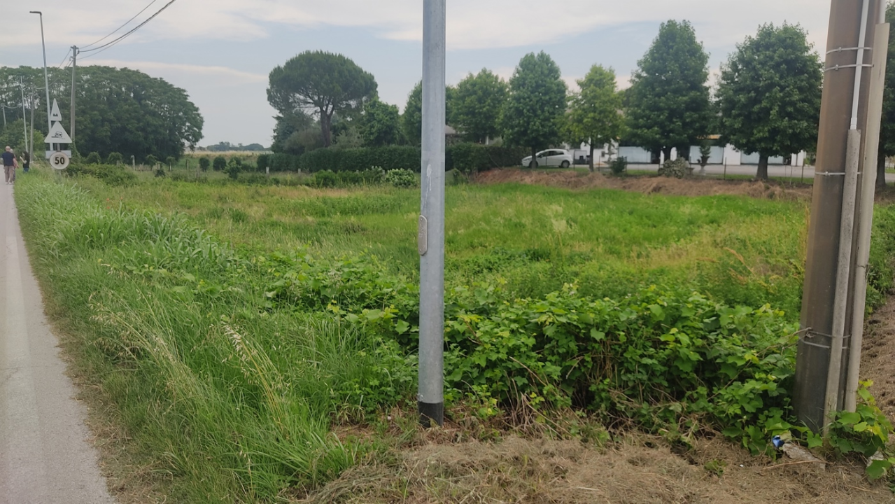 Terreno - Image 3