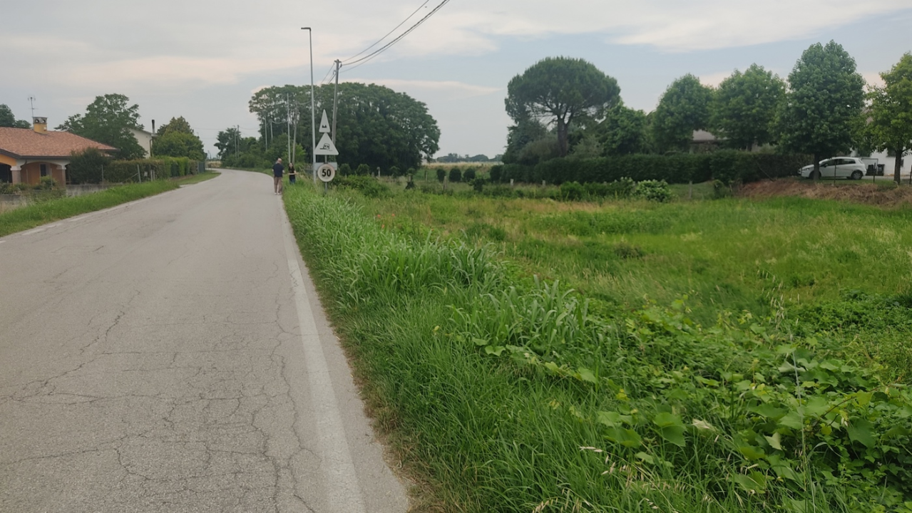 Terreno - Image 5