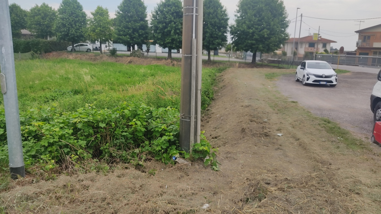 Terreno - Image 4