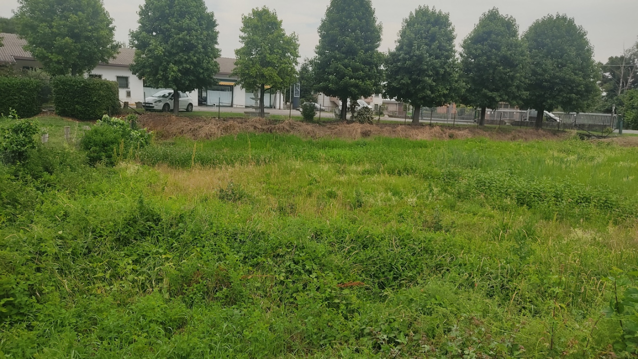 Terreno - Image 1