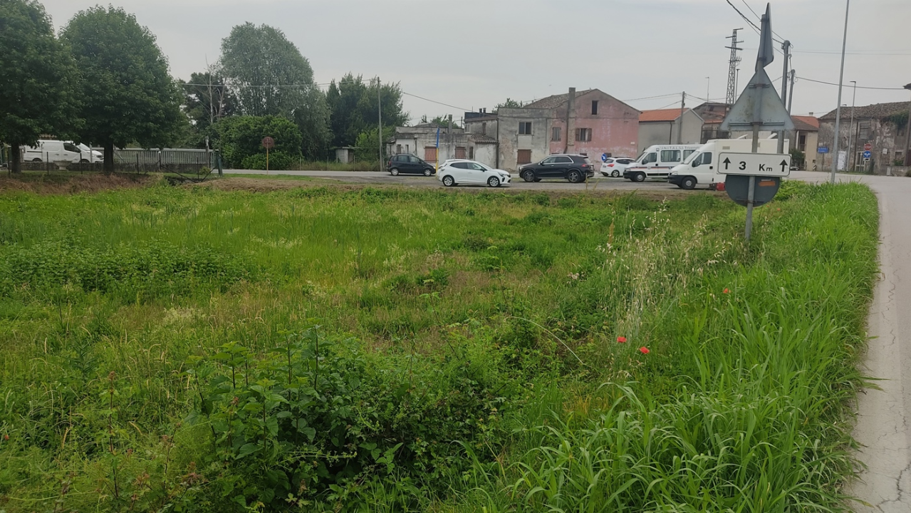 Terreno - Image 2