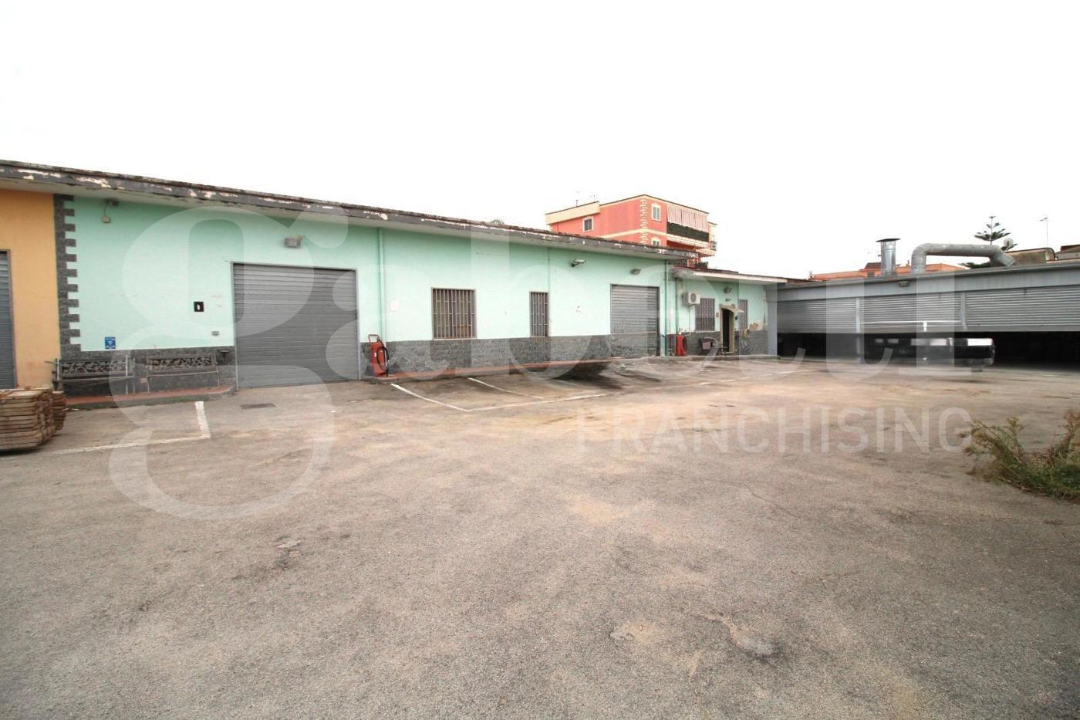 Laboratorio - Image 5