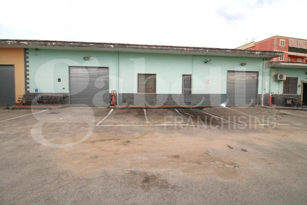 Laboratorio - Image 3