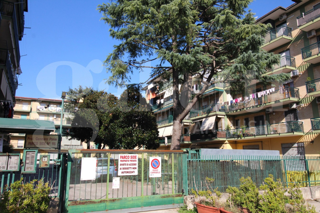 Magazzino - Image 22