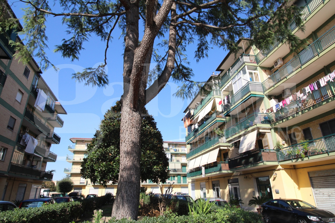 Magazzino - Image 21