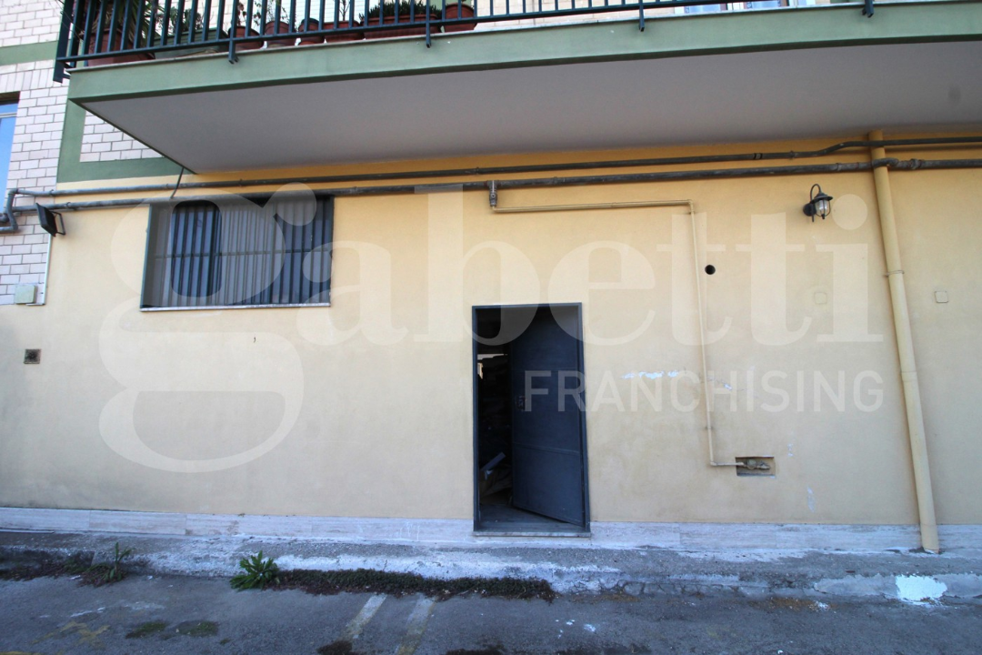 Magazzino - Image 15