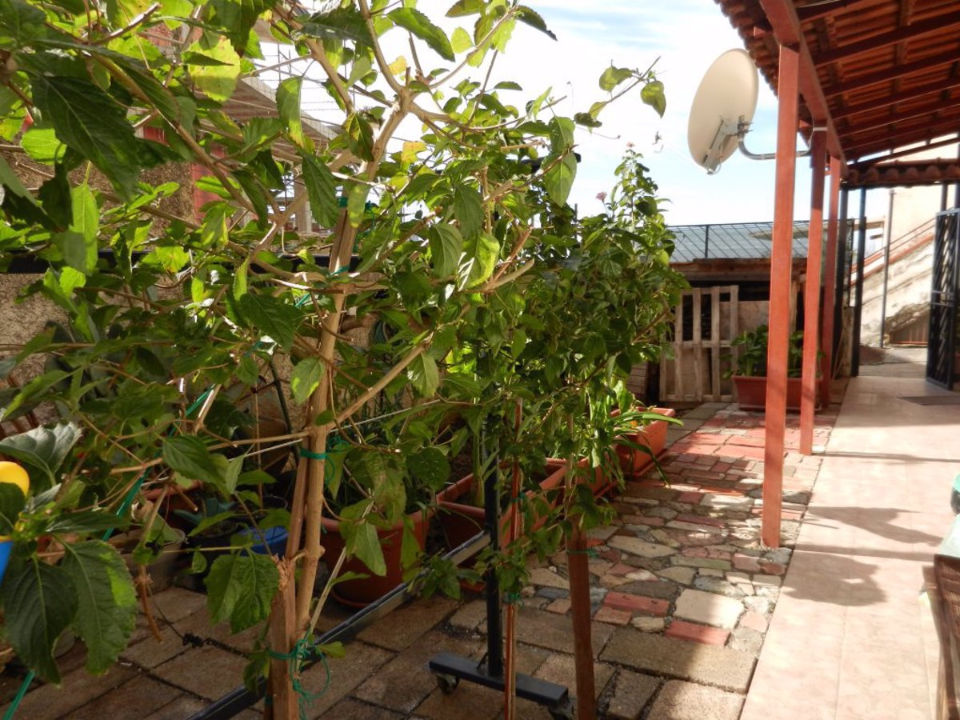 Appartamento - Image 14