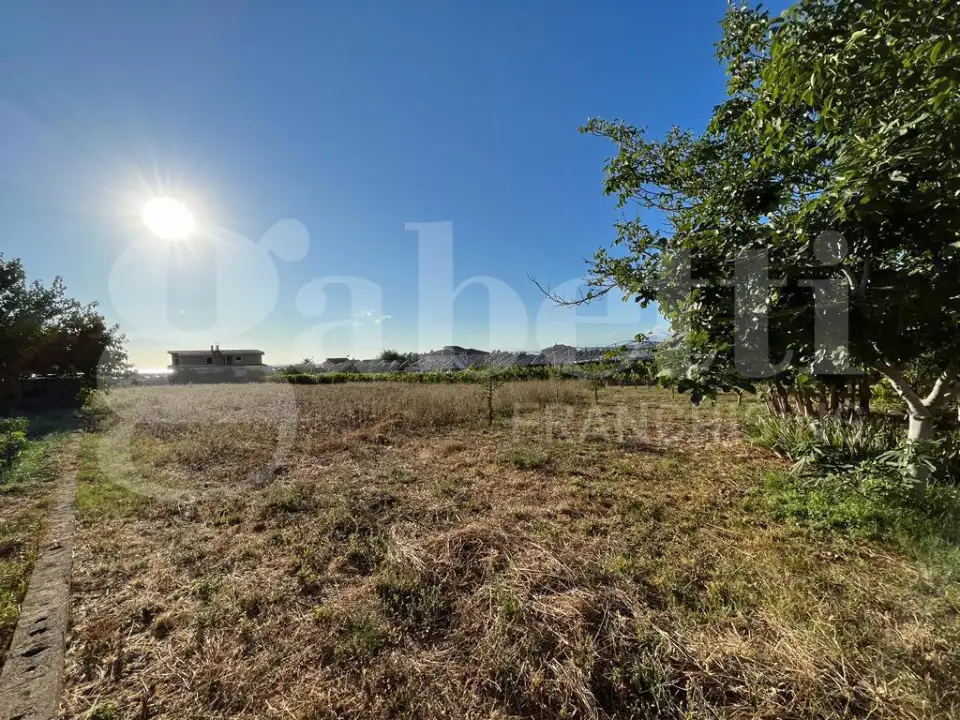 Palazzina - Image 14