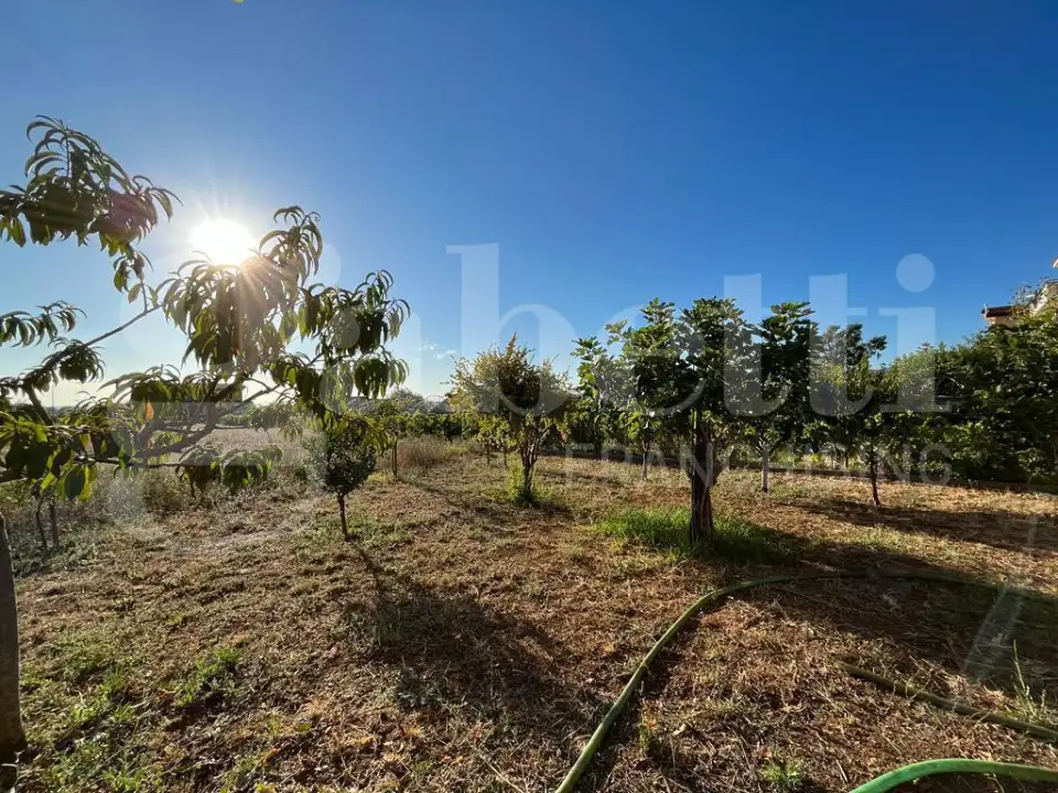 Palazzina - Image 15