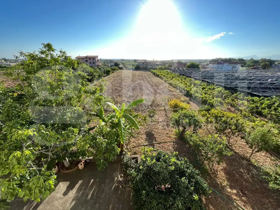 Palazzina - Image 17