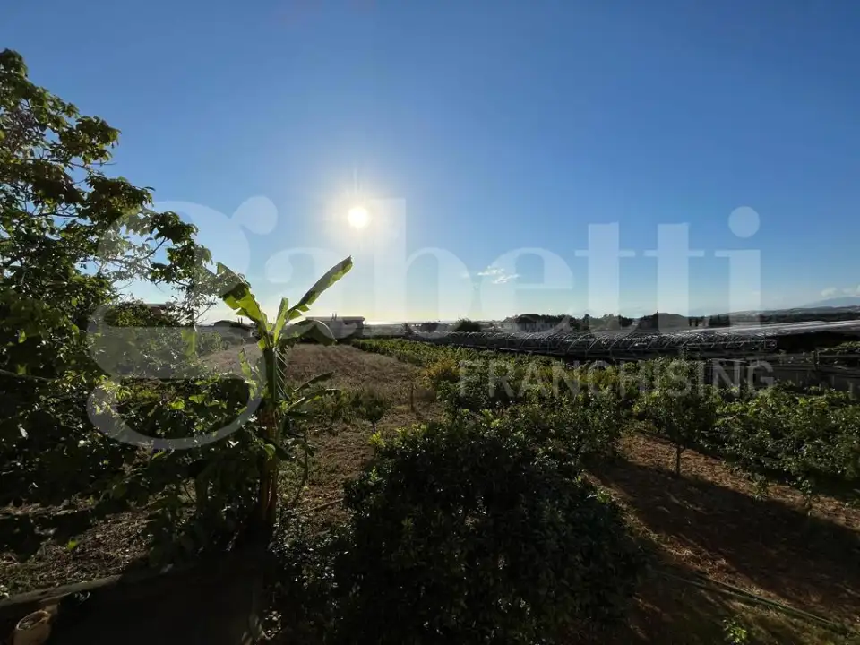 Palazzina - Image 16