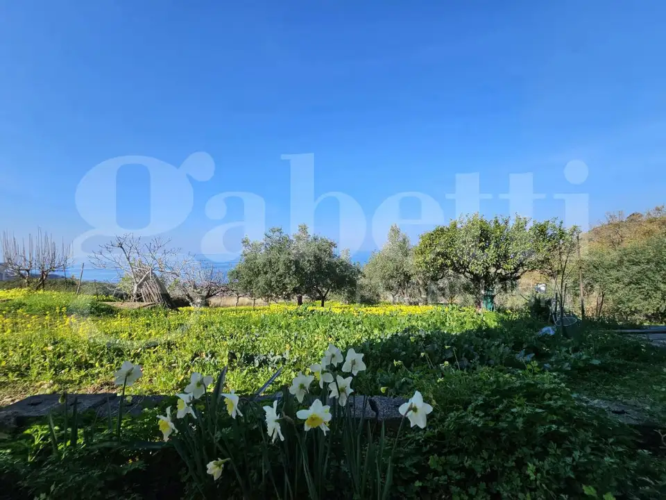 Appartamento - Image 21