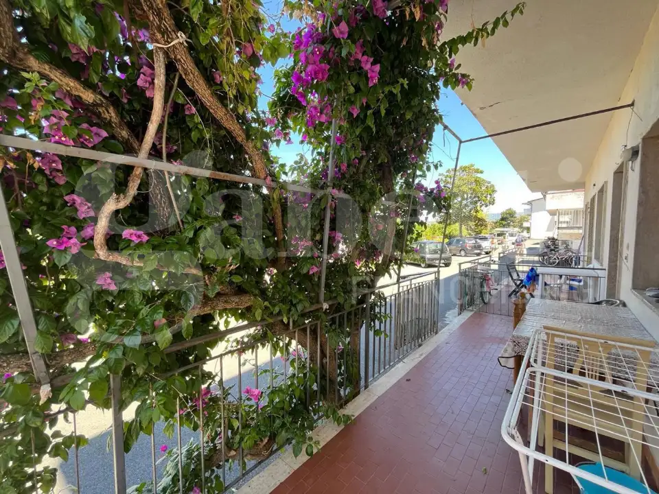 Appartamento - Image 4