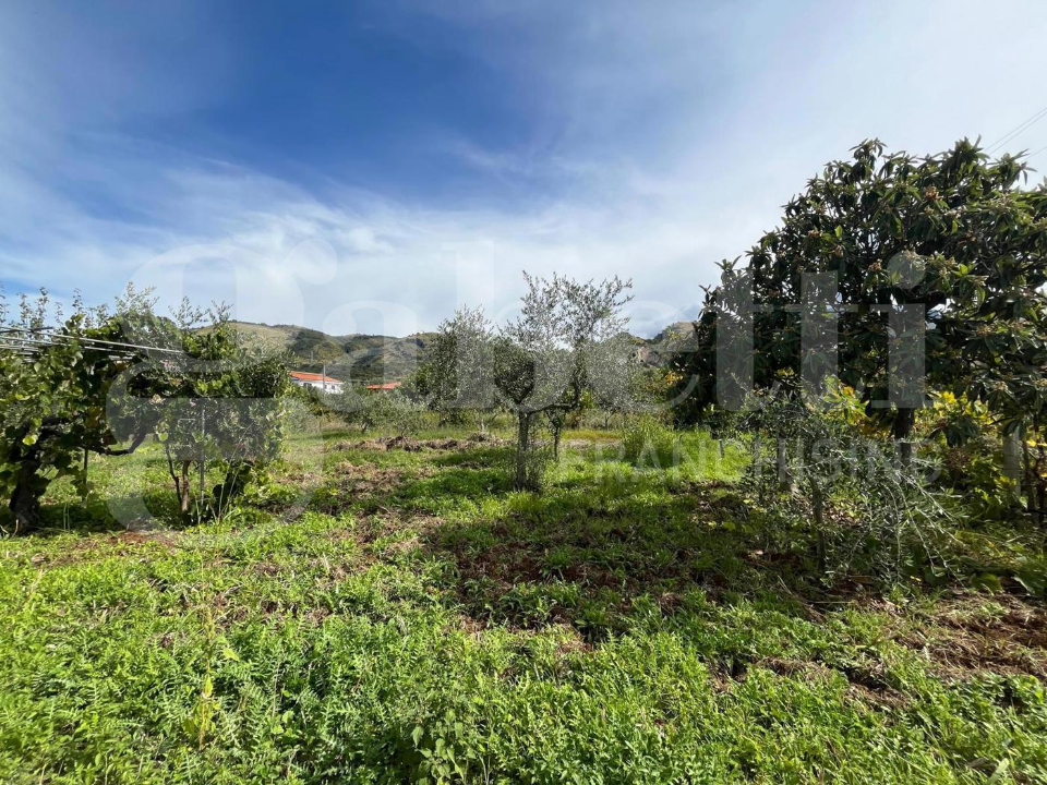 Palazzina - Image 33