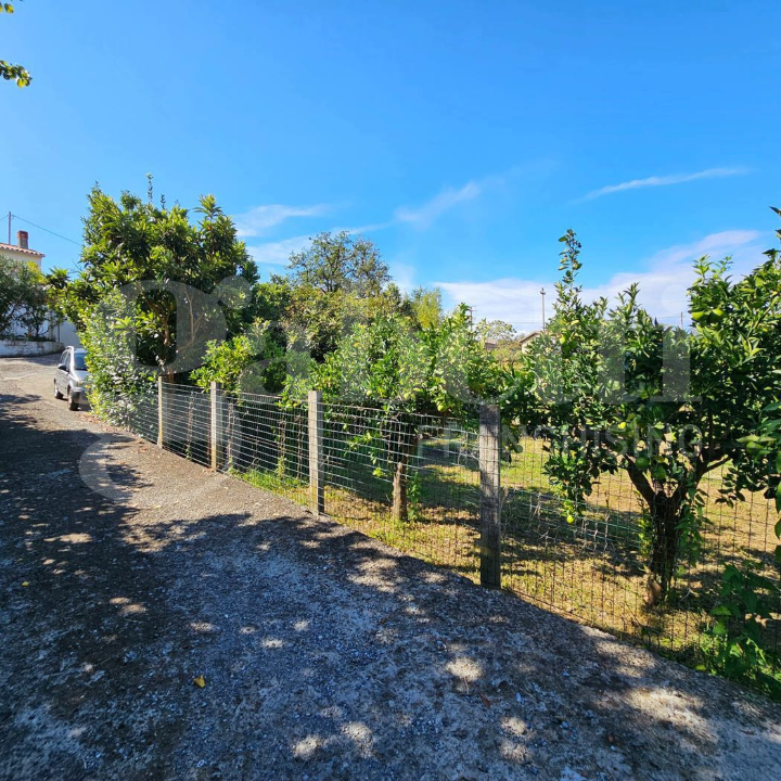 Palazzina - Image 26