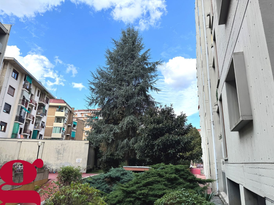 Appartamento - Image 4