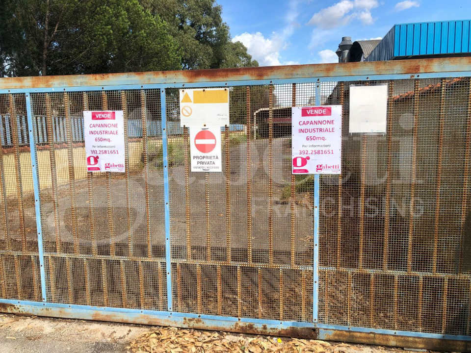 Capannone - Image 20