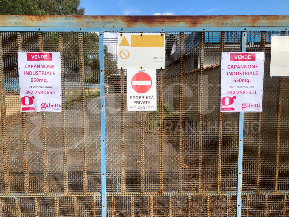 Capannone - Image 22