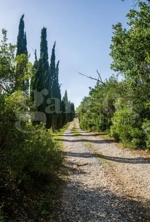 Casa Indipendente - Image 37