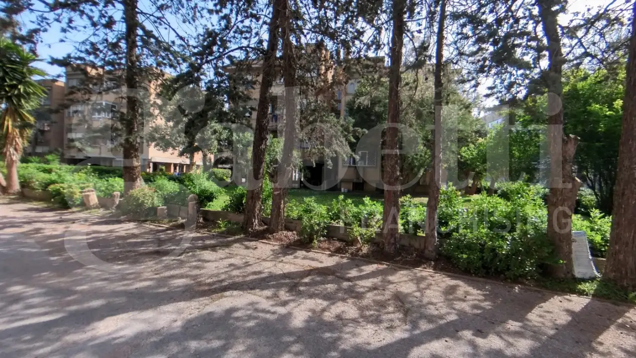 Appartamento - Image 4