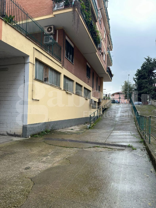 Laboratorio - Image 4