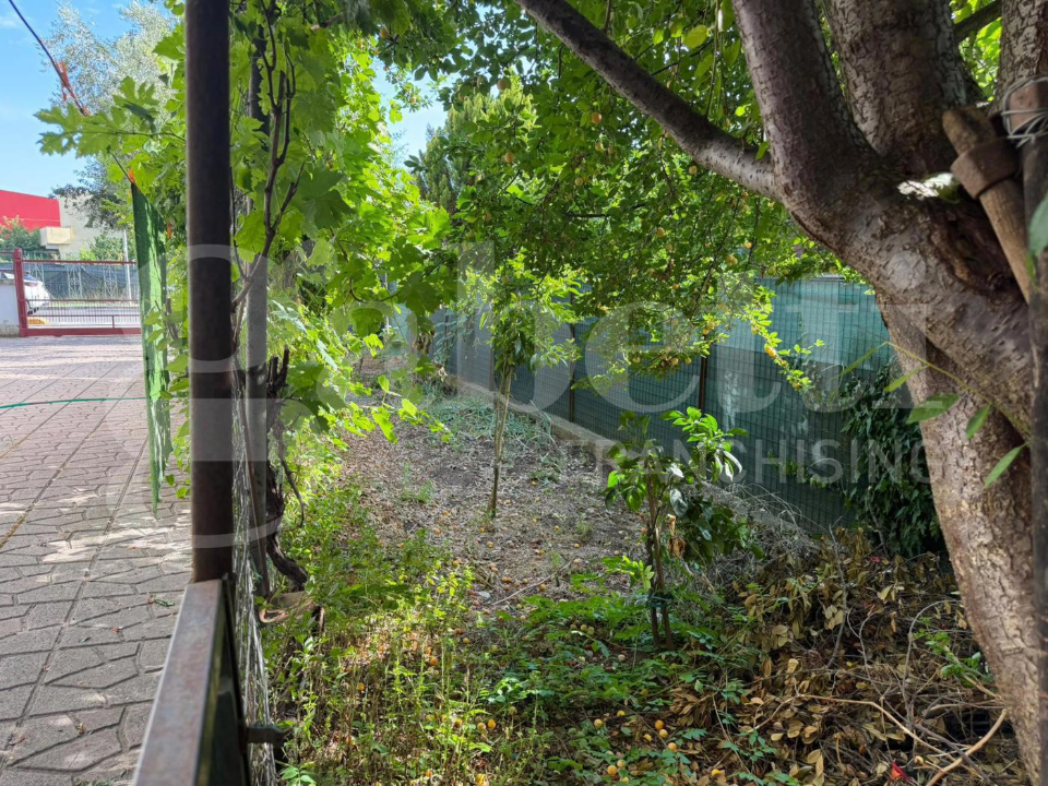 Palazzina - Image 5